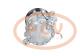 PCV 090625002P - COMPRESOR P/INTERNATIONAL PCV NEW