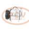 PCV 090625010P - COMPRESOR P/INTERNATIONAL PCV NEW