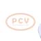 PCV 1022115360P - ALTERNADOR TOYOTA 70A 12V PCV NEW T/DENSO