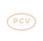 PCV 1042110600P - ALTERNADOR BMW 190A 12V PCV NEW T/DENSO