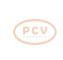 PCV 1042110600P - ALTERNADOR BMW 190A 12V PCV NEW T/DENSO