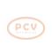 PCV 1042110740P - ALTERNADOR BMW 180A 12V PCV NEW T/DENSO