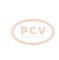 PCV 1042110740P - ALTERNADOR BMW 180A 12V PCV NEW T/DENSO