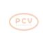 PCV 1042119830P - ALTERNADOR FIAT 150A 12V PCV NEW T/DENSO