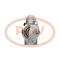 PCV 1250295P - ARRANQUE HYUNDAI 1.7 KW 12V PCV NEW T/MITSUBISHI [0429]
