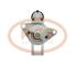 PCV 2280006120P - ARRANQUE LAND ROVER 1.0 KW 12V PCV NEW
