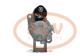 PCV 4280000010P - ARRANQUE HONDA 1.0 KW 12V PCV NEW T/DENSO