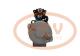 PCV 4280001450P - ARRANQUE CATERPILLAR 8.0 KW 24V PCV NEW T/DENSO
