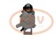 PCV 4280009590P - ARRANQUE JAGUAR 2.0 KW 12V PCV NEW T/DENSO