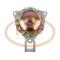 PCV 516051P - ALTERNADOR SKODA 55A 12V PCV NEW T/MAGNETON