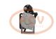 PCV 700306103P - ARRANQUE PERKINS 3.6 KW 12V PCV NEW
