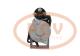 PCV 700309122P - ARRANQUE CAV 3.6 KW 12V PCV NEW