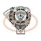 PCV A11VI96P - ALTERNADOR RENAULT 75A 12V PCV NEW T/VALEO