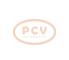 PCV A13VI71P - ALTERNADOR CITROëN/PEUGEOT 95A 12V PCV NEW T/VALEO [0365]