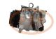 PCV ACP1483000S - COMPRESOR P/MERCEDES-BENZ / MAN / SMART MAHLE NEW