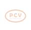 PCV AVI147E3001P - ALTERNADOR YUTONG 120A 24V PCV NEW T/PRESTOLITE