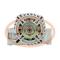 PCV DAN1001 - ALTERNADOR FIAT 105A 12V DENSO NEW