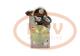 PCV DRS3553P - ARRANQUE OPEL 1.1 KW 12V PCV NEW T/DELCO REMY