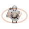 PCV ESW20E18 - ARRANQUE FORD 2.0 KW 12V VALEO NEW