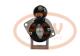 PCV F000AL0151P - ARRANQUE FORD 2.2 KW 12V PCV NEW T/BOSCH