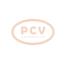 PCV F000BL0602P - ALTERNADOR VOLKSWAGEN 110A 12V PCV NEW T/BOSCH