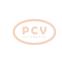 PCV FG20S023P - ALTERNADOR AUDI 180A 12V PCV NEW T/VALEO