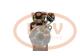 PCV M008T55482 - ARRANQUE CATERPILLAR 3.0 KW 12V MITSUBISHI NEW