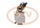 PCV M009T68981 - ARRANQUE VOLVO 5.5 KW 24V MITSUBISHI NEW