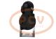 PCV M0TA5071P - ARRANQUE YAMAHA 1.0 KW 12V PCV NEW T/MITSUBISHI