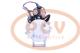 PCV M105R3031SEVPP - ARRANQUE MERCEDES / MAN 7.5 KW 24V PRESTOLITE NEW T/PRESTOLI