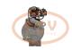 PCV M128R3838SE - ARRANQUE CATERPILLAR 12.0 KW 24V PRESTOLITE NEW T/PRESTOLITE