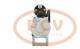 PCV M8T80871P - ARRANQUE KUBOTA 3.2 KW 24V PCV NEW T/MITSUBISHI