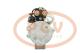 PCV M9T70173P - ARRANQUE MERCEDES 5.5 KW 12V PCV NEW T/MITSUBISHI