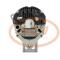 PCV MG145 - ALTERNADOR IVECO 65A 12V MAHLE NEW