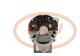 PCV MG284 - ALTERNADOR LANDINI 55A 12V MAHLE NEW