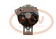 PCV MG374 - ALTERNADOR RENAULT 55A 12V MAHLE NEW