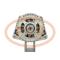 PCV MG61 - ALTERNADOR VM 22A 48V MAHLE NEW