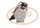 PCV MS1114 - ARRANQUE VOLVO 5.5 KW 24V MAHLE NEW