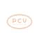 PCV QDJ1311P - ARRANQUE GWM / HAVAL 2.0 KW 12V PCV NEW