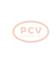 PCV QDJ1311P - ARRANQUE GWM / HAVAL 2.0 KW 12V PCV NEW