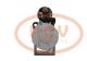 PCV QDJ158DP - ARRANQUE ASIA 4.8 KW 12V PCV NEW