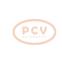 PCV TG12C249P - ALTERNADOR FORD 120A 12V PCV NEW T/VALEO