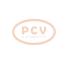 PCV TG14C037P - ALTERNADOR VOLKSWAGEN 140A 12V PCV NEW T/VALEO