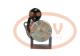 PCV TRS214 - ARRANQUE MITSUBISHI 1.2 KW 12V TWA REMAN