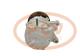 PCV TSP0155516 - COMPRESOR P/USA DELPHI NEW