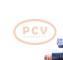 PCV TS10E4P - ARRANQUE RENAULT 0.85 KW 12V PCV NEW T/VALEO
