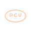 PCV 0001350019P - ARRANQUE MWM 10.0 KW 24V PCV NEW T/BOSCH