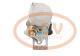PCV 4280004420P - ARRANQUE CUMMINS 5.0 KW 12V PCV NEW T/DENSO