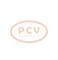 PCV 4380002590P - ARRANQUE FIAT 1.4 KW 12V PCV NEW T/DENSO