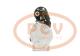 PCV QDJ1309SPP - ARRANQUE DONGFENG 3.0 KW 12V PCV NEW